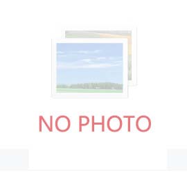 探針臺可以直接放物品嗎？